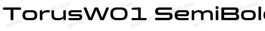 TorusW01 SemiBold Regular字体转换